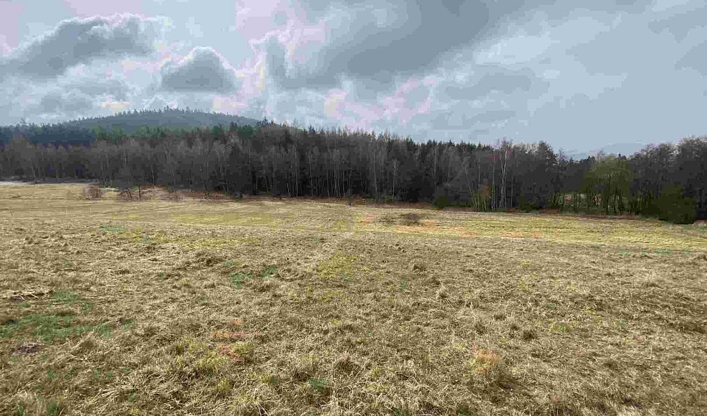 Prodej pole 8 071 m², Vyšší Brod – náhled fotky 3