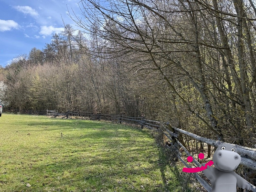 Prodej lesa 3 109 m²