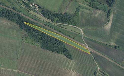 Prodej pole 6 655 m², Novosedly, okres Břeclav