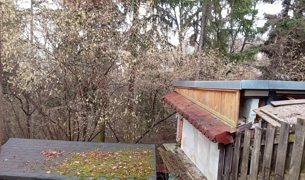 Prodej stavebního pozemku 4 500 m², Praha – náhled fotky 14