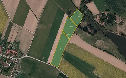 Prodej pole 53 562 m², Olšany, okres Jihlava