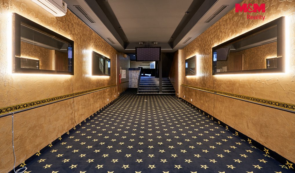 Pronájem obchodních prostor 205 m², Uherský Brod – náhled fotky 6