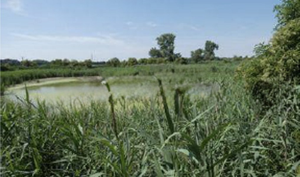 Prodej komerčního pozemku 51 412 m², Smiřice – náhled fotky 11