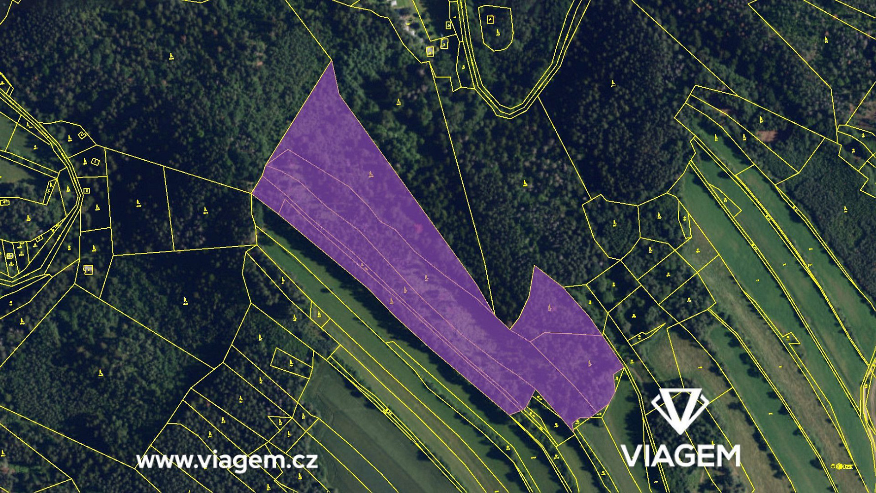 Prodej lesa 25 162 m² – fotografie 4