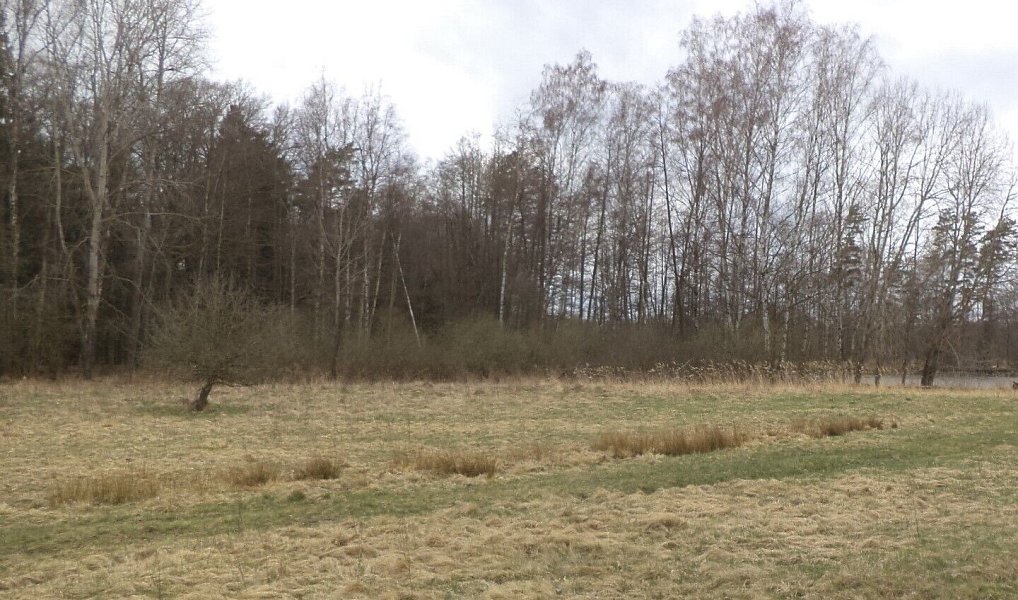 Prodej pozemku 6 727 m², Chlum u Třeboně – náhled fotky 3