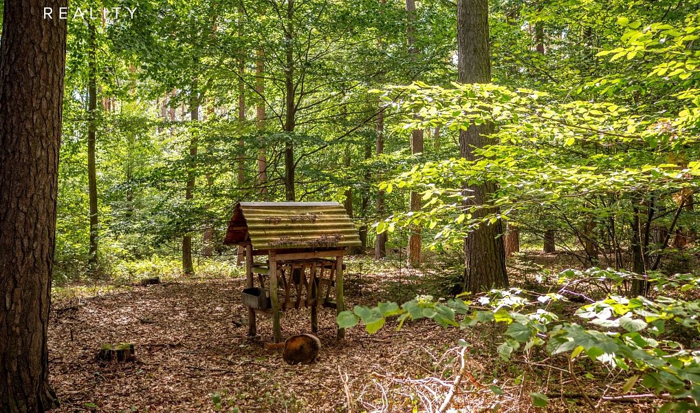 Prodej lesa 985 653 m², Žerčice – náhled fotky 25
