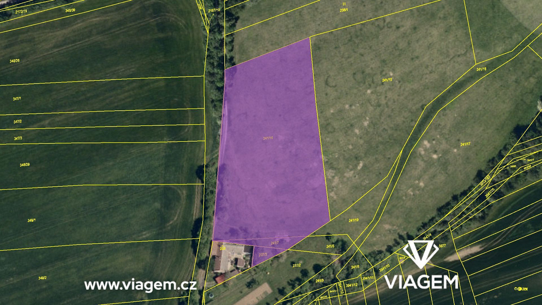 Prodej pole 1 350 m² – fotografie 4