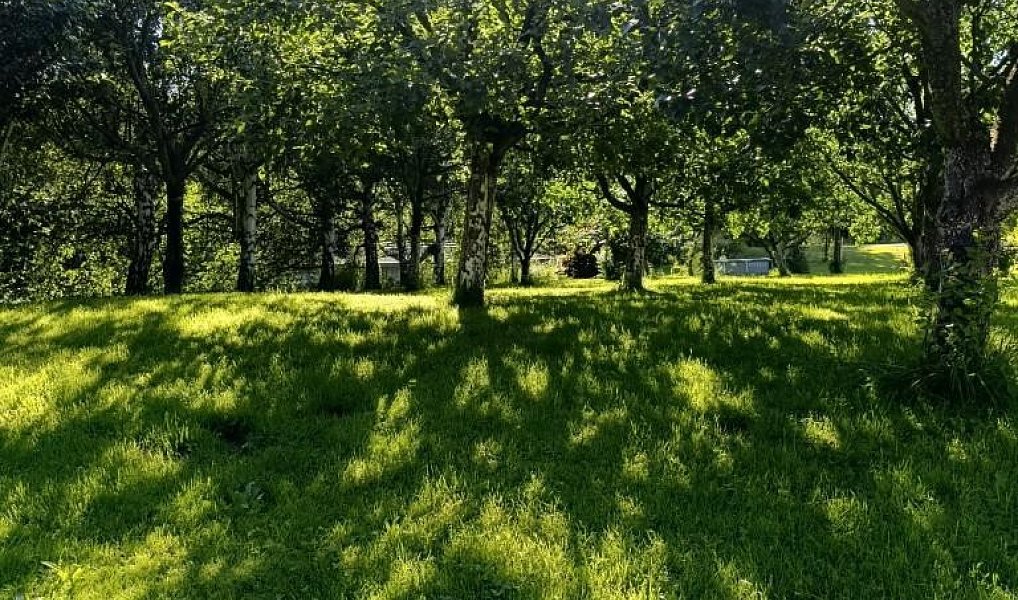 Prodej domu 170 m² s pozemkem 2 841 m², Město Albrechtice – náhled fotky 11