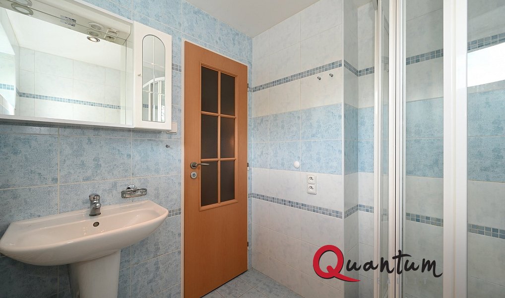 Pronájem bytu 1+kk 26 m², Praha – náhled fotky 10