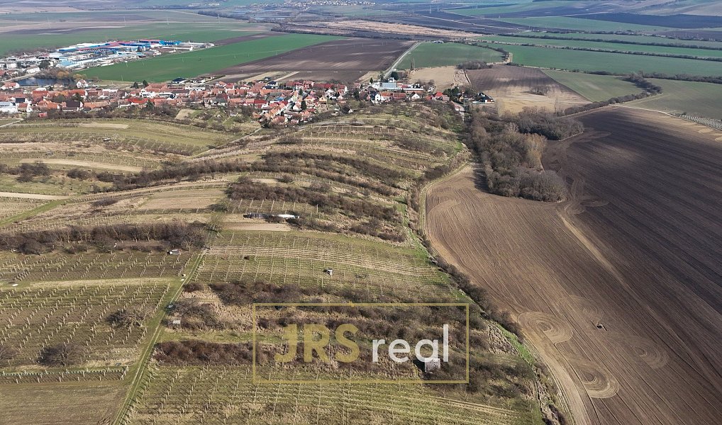Prodej chaty/chalupy 16 m² s pozemkem 4 065 m², Brumovice – náhled fotky 7