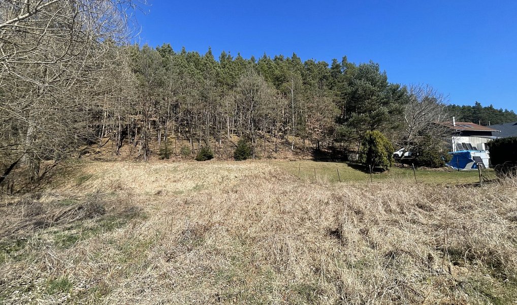 Prodej zahrady 782 m², Dlouhá Ves – náhled fotky 9