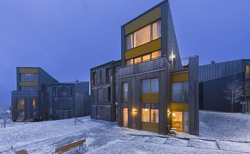 Prodej bytu 2+kk 40 m², Loučná pod Klínovcem - Loučná, okres Chomutov