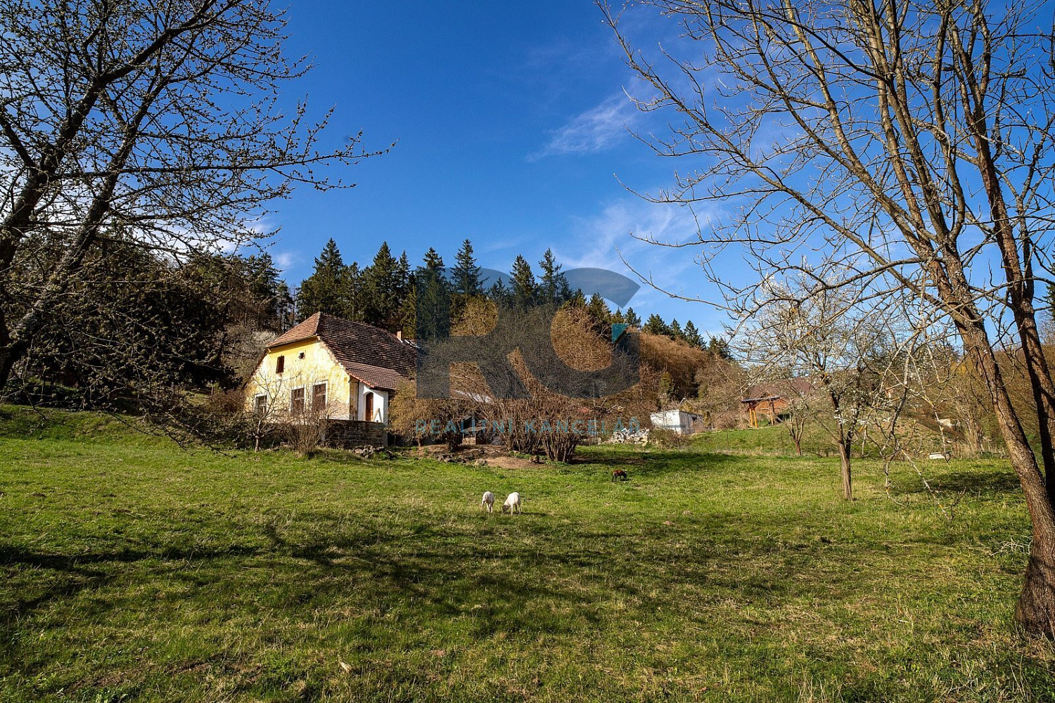 Prodej stavebního pozemku 2 000 m² – fotografie 4