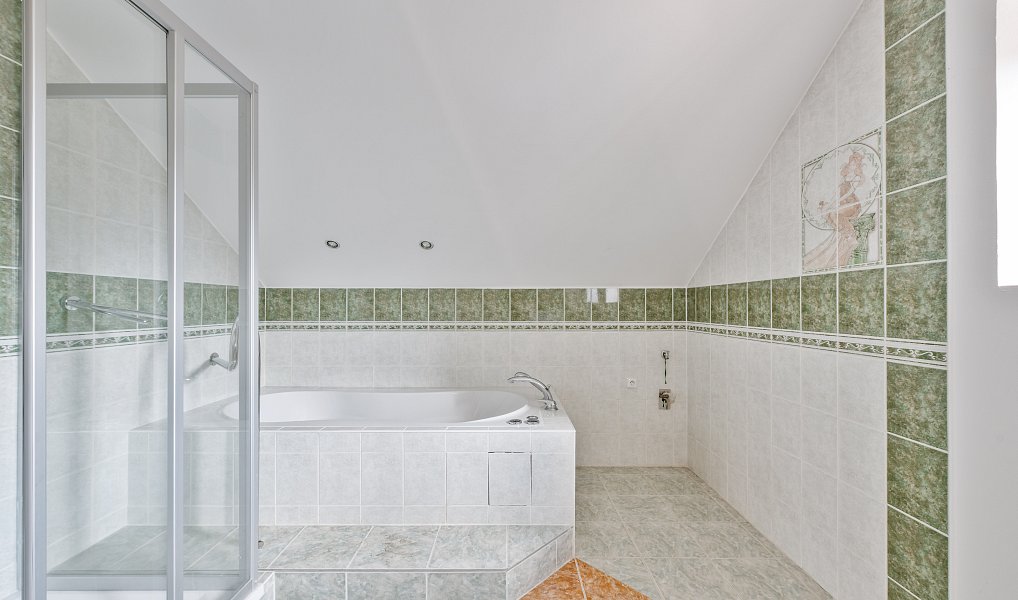 Prodej domu 297 m² s pozemkem 386 m², Planá nad Lužnicí – náhled fotky 14