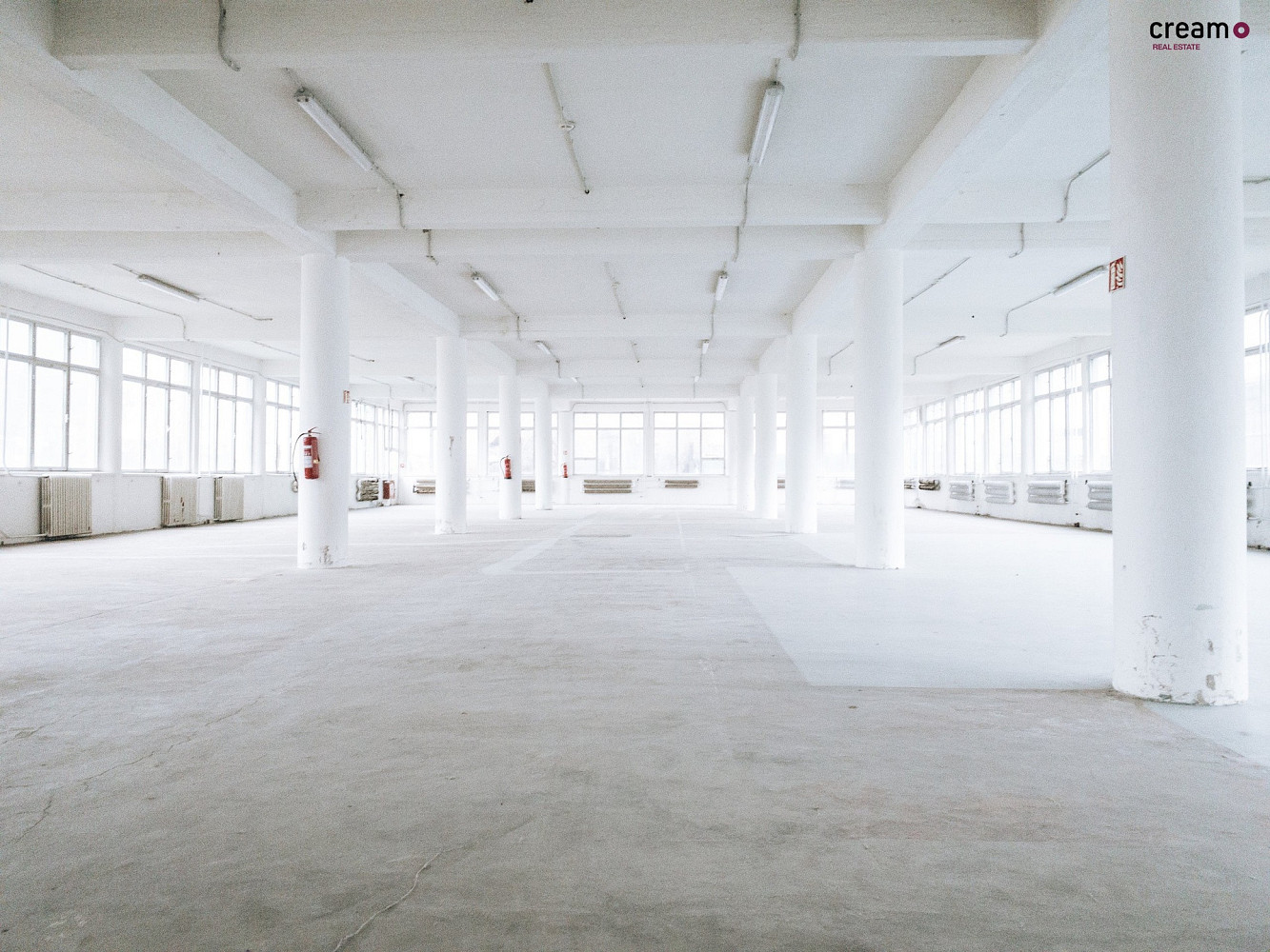 Pronájem obchodních prostor 797 m²
