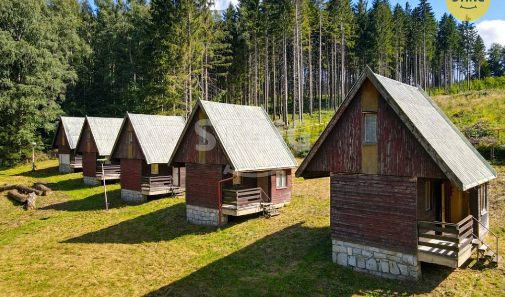 Prodej domu 500 m² s pozemkem 9 467 m², Česká Ves – náhled fotky 5