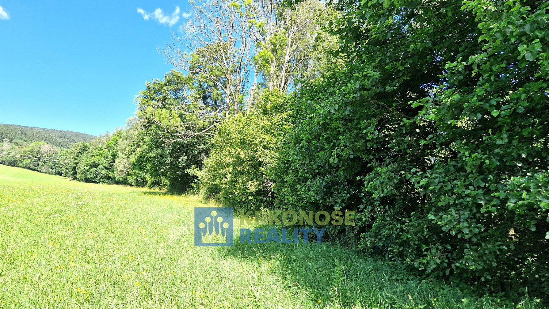Prodej podílu 1/2 pozemky - trvalý travní porost, 68 585 m² - Trutnov - Babí – pohled 5