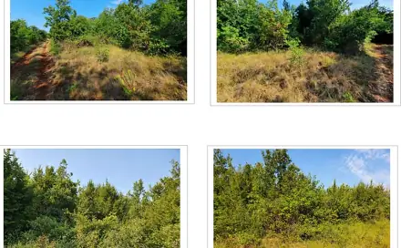 Prodej lesa 11 259 m², Kaštelir-Labinci, Istarska županija, Chorvatsko