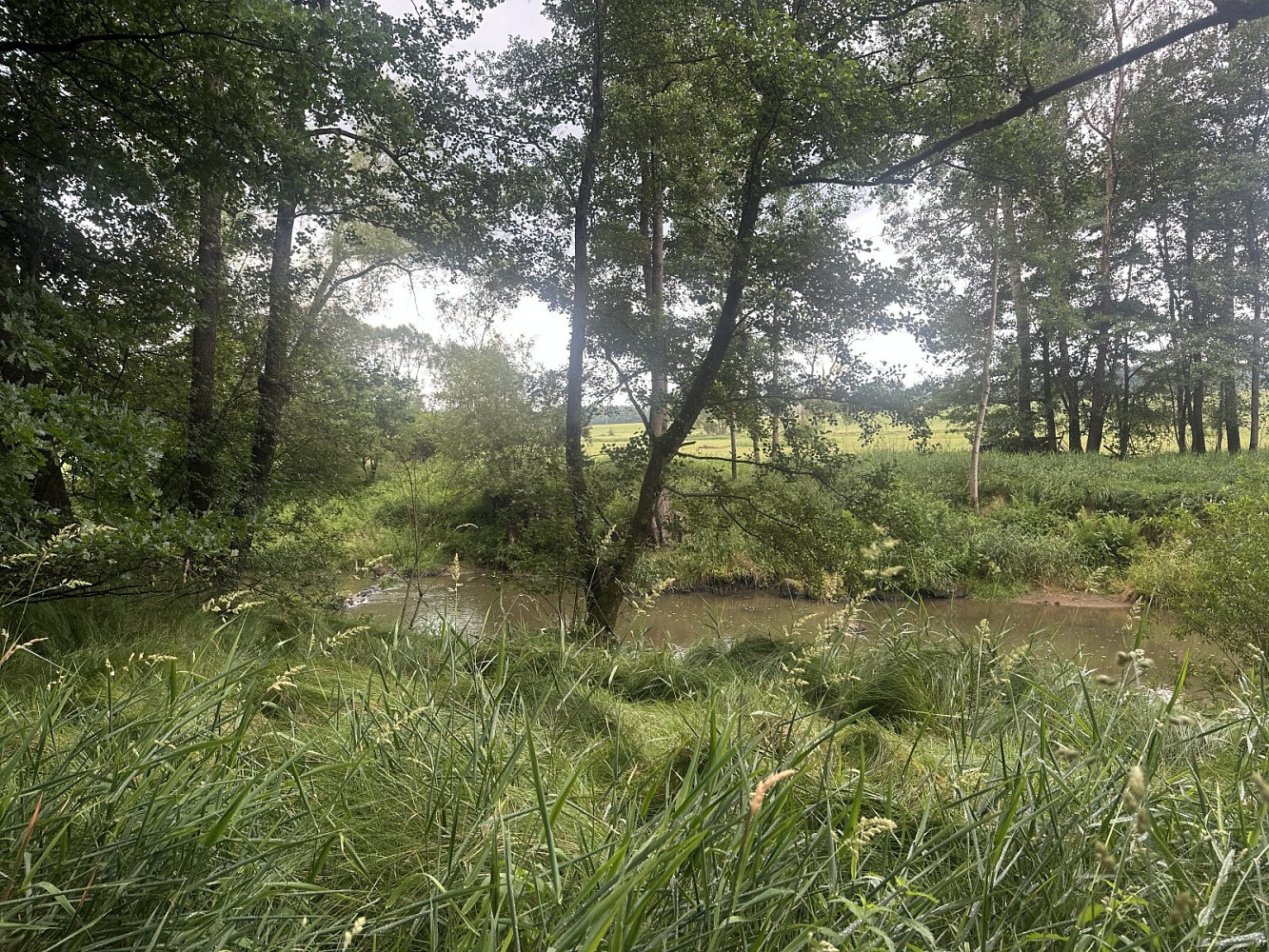 Prodej pole 27 326 m²