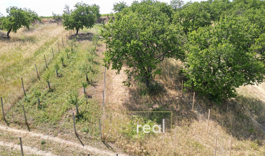 Prodej pole 358 m², Němčičky – fotka 1 z 9