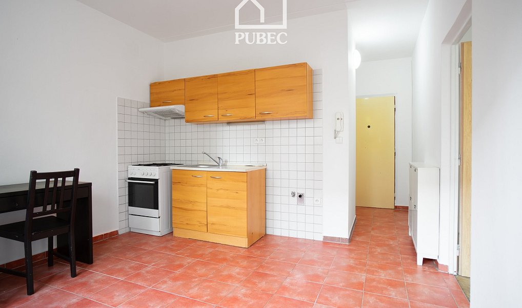 Pronájem bytu 1+1 35 m², Plzeň – náhled fotky 4