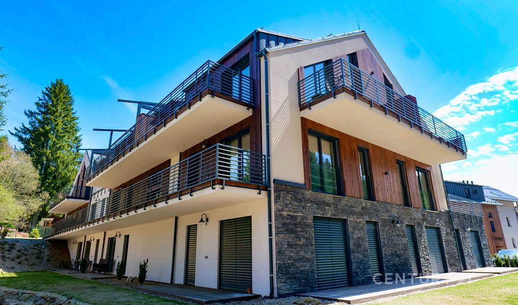 Prodej bytu 2+kk 119 m², Železná Ruda – náhled fotky 20