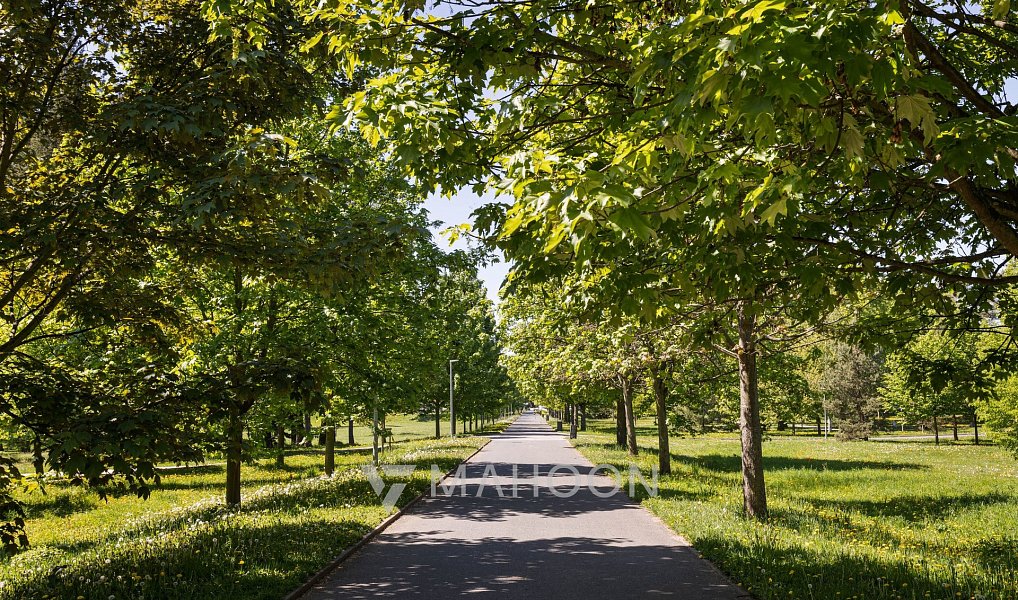 Prodej kanceláře 95 m², Hradec Králové – náhled fotky 16