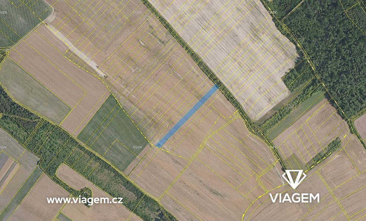Prodej pole 3 943 m² – fotografie 3