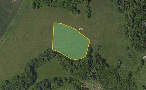 Prodej louky 10 763 m², Sloup, okres Blansko