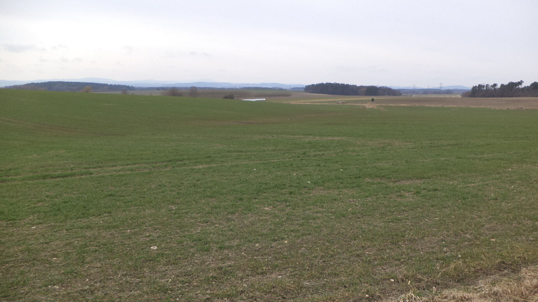 Prodej pole 2 330 m²