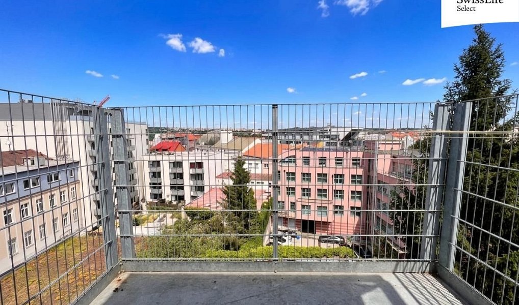 Pronájem bytu 1+kk 55 m², Plzeň – náhled fotky 9