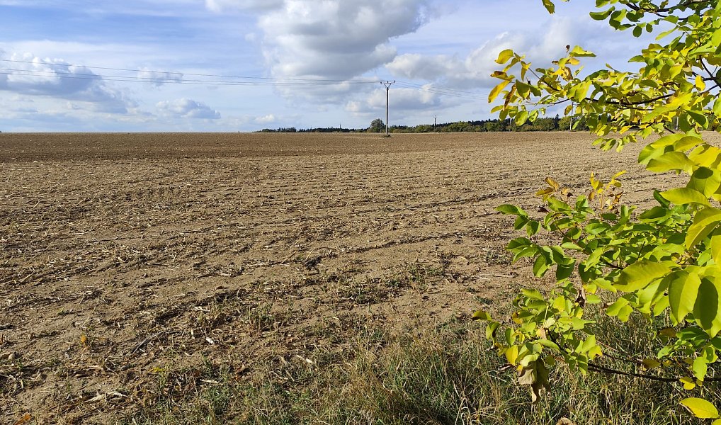 Prodej stavebního pozemku 917 m², Ketkovice – náhled fotky 3