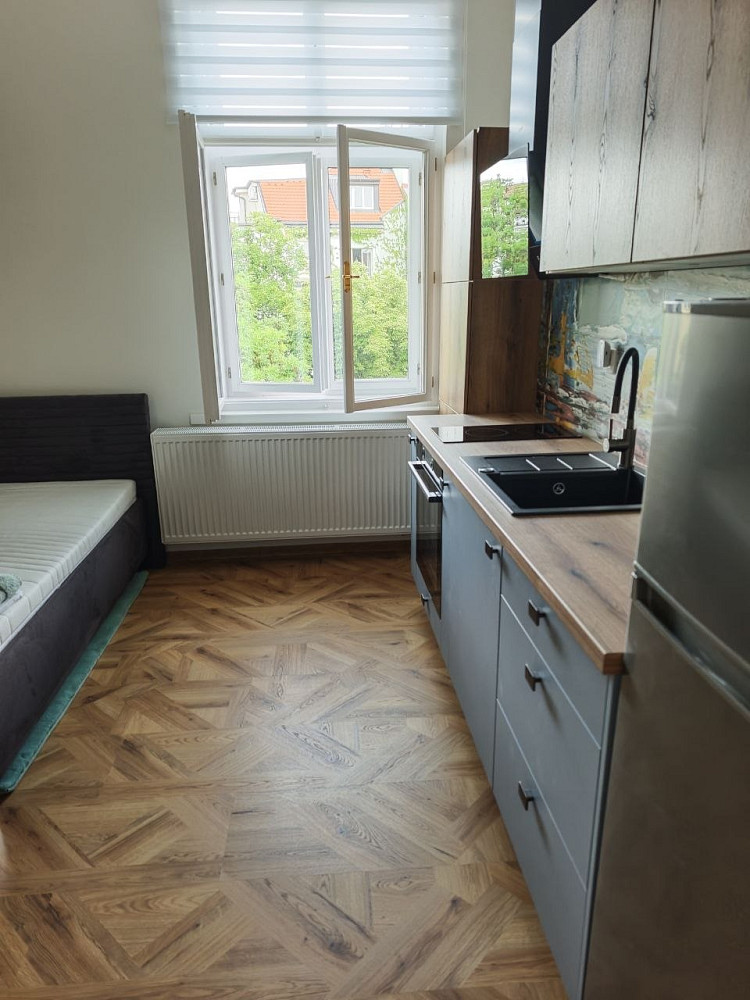 Pronájem bytu 1+kk 25 m² — photo 3
