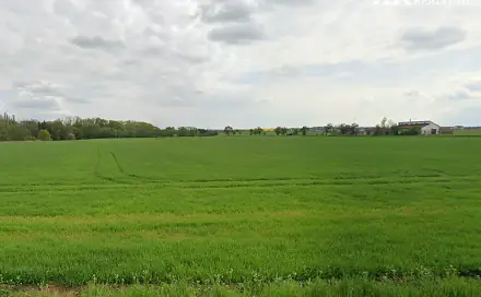 Prodej pole 4 869 m², Květnice, okres Praha-východ