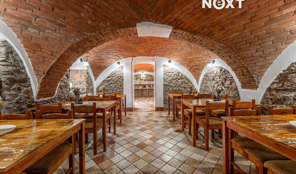Prodej ubytovacího objektu 550 m², Všemyslice – náhled fotky 3