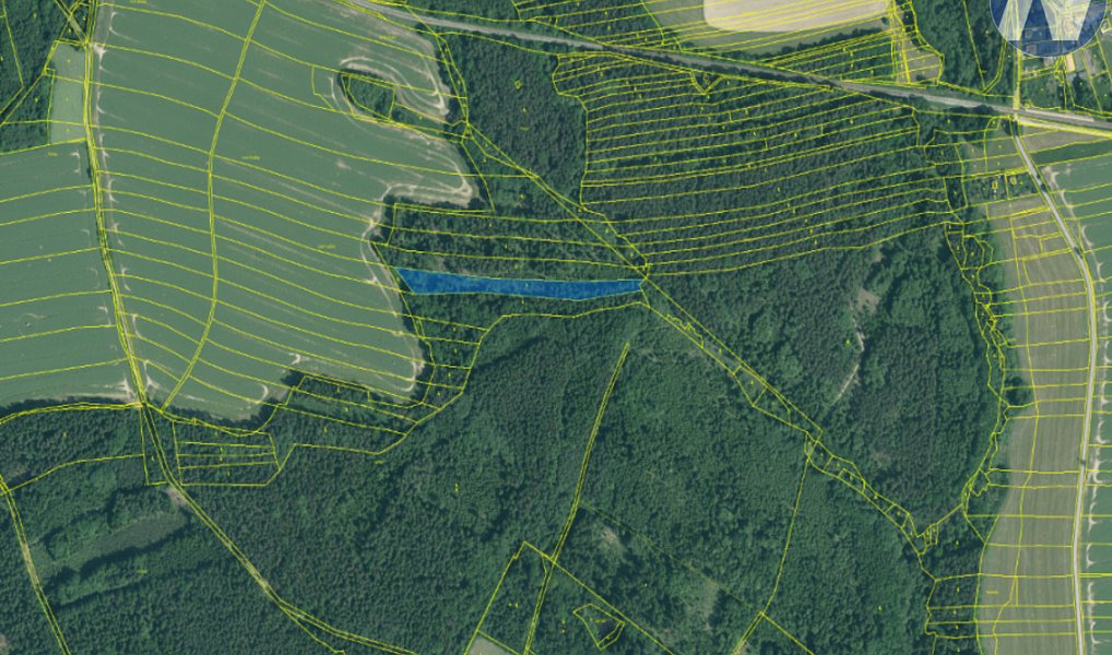 Prodej lesa 9 174 m², Borovany – náhled fotky 3