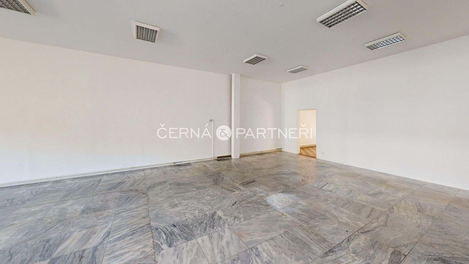 Pronájem obchodních prostor 319 m² — photo 4