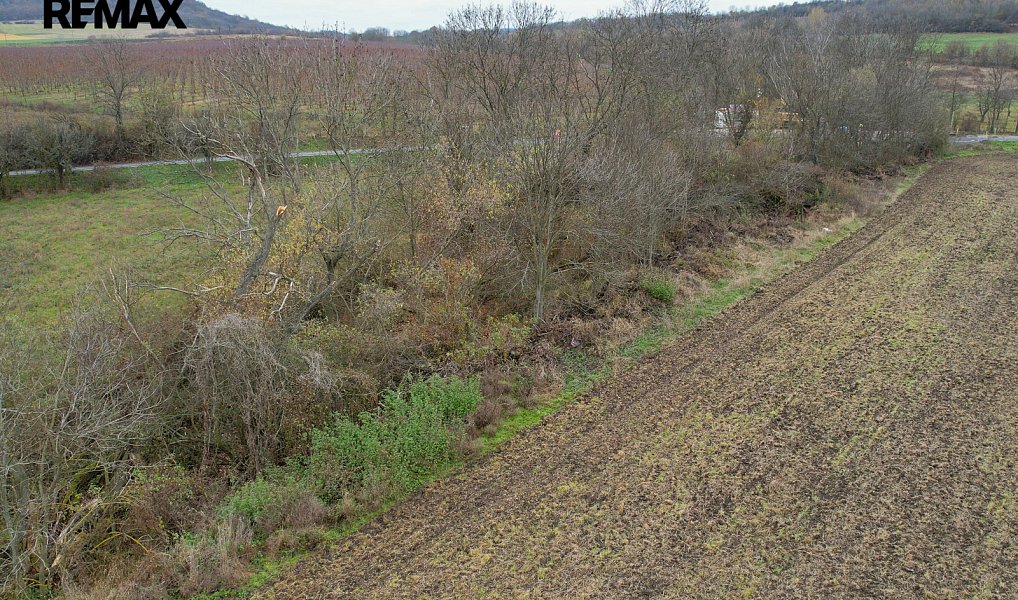 Prodej pozemku 729 m², Želkovice – náhled fotky 6
