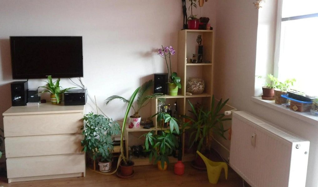 Prodej bytu 1+kk 33 m², Brno – náhled fotky 4