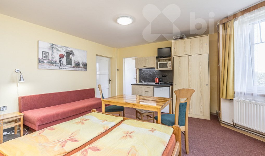 Prodej domu 300 m² s pozemkem 968 m², Kašperské Hory – náhled fotky 11
