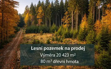 Prodej lesa 20 423 m², Arneštovice, okres Pelhřimov