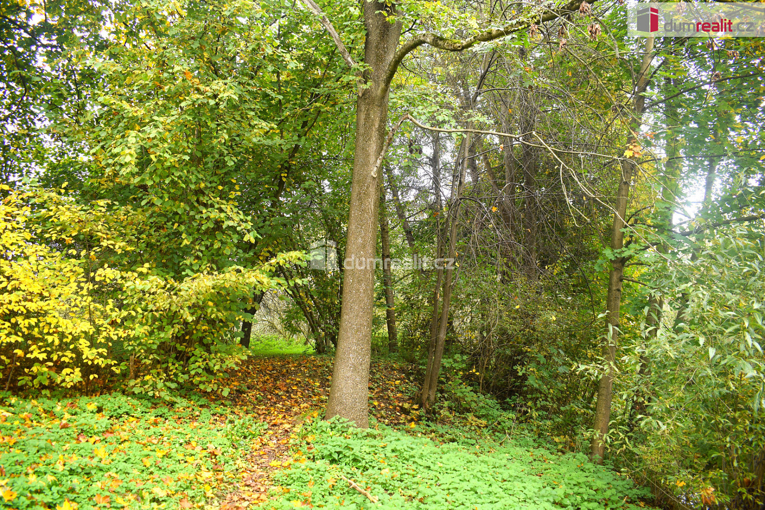 Prodej stavebního pozemku 1 535 m² — photo 5