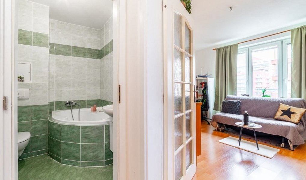Pronájem bytu 1+kk 33 m², Praha – náhled fotky 11