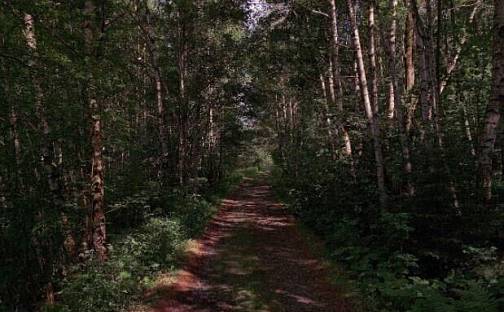 Prodej pozemku 1 922 m², Nicov - Řetenice, okres Prachatice