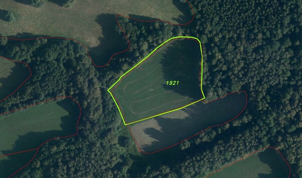 Prodej pozemku 10 593 m², Sobotín – náhled fotky 5
