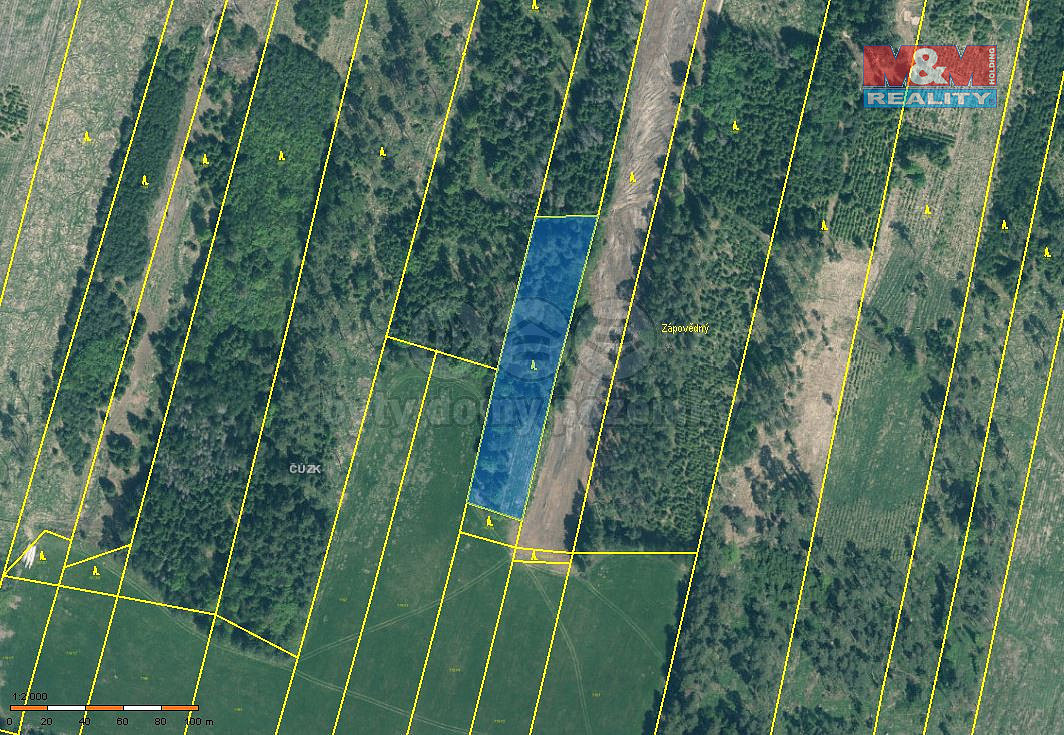 Prodej lesa 4 993 m²