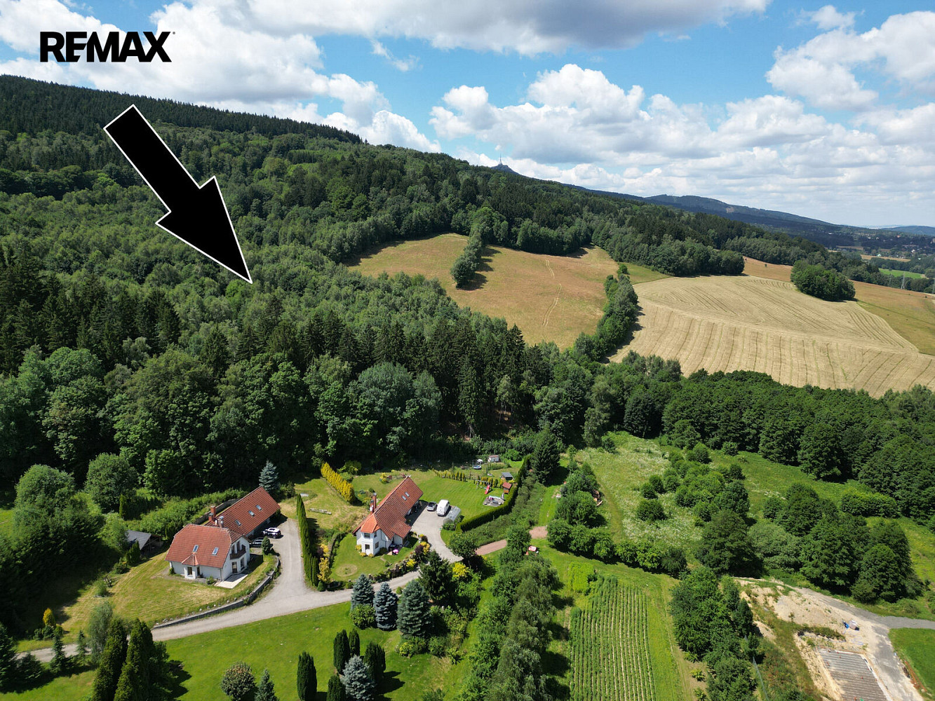 Prodej lesa 4 606 m²