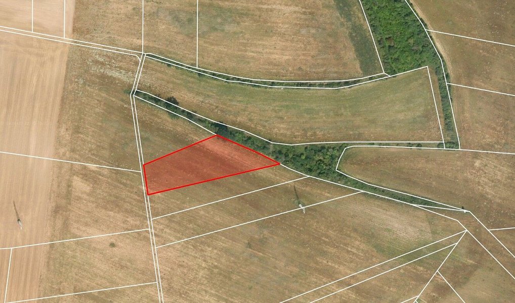 Prodej pole 11 018 m², Bechlín – náhled fotky 5