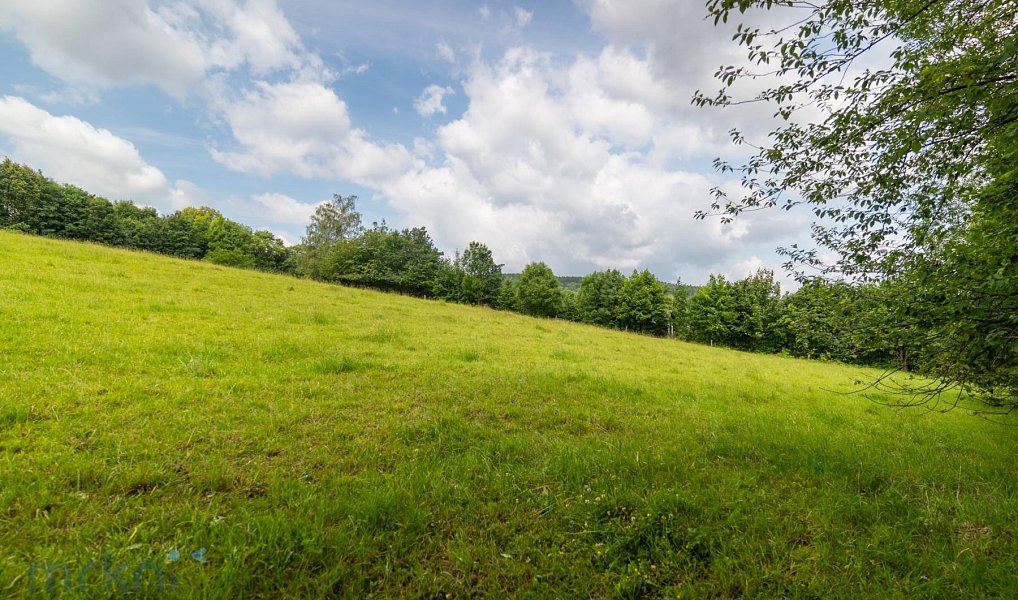 Prodej louky 1 566 m², Vlčice – náhled fotky 6