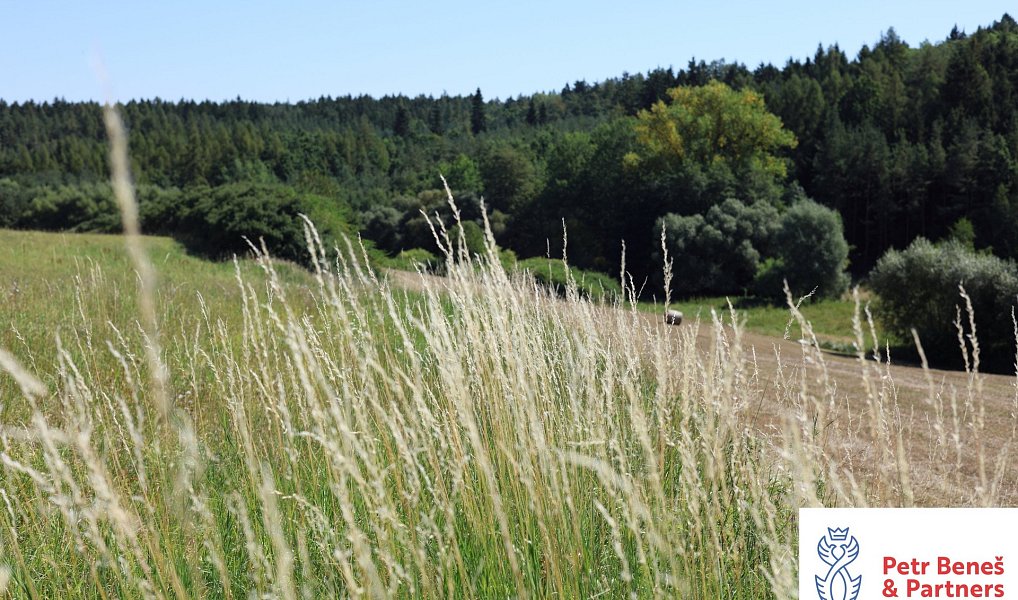 Prodej domu 97 m² s pozemkem 936 m², Hřebečníky – náhled fotky 16